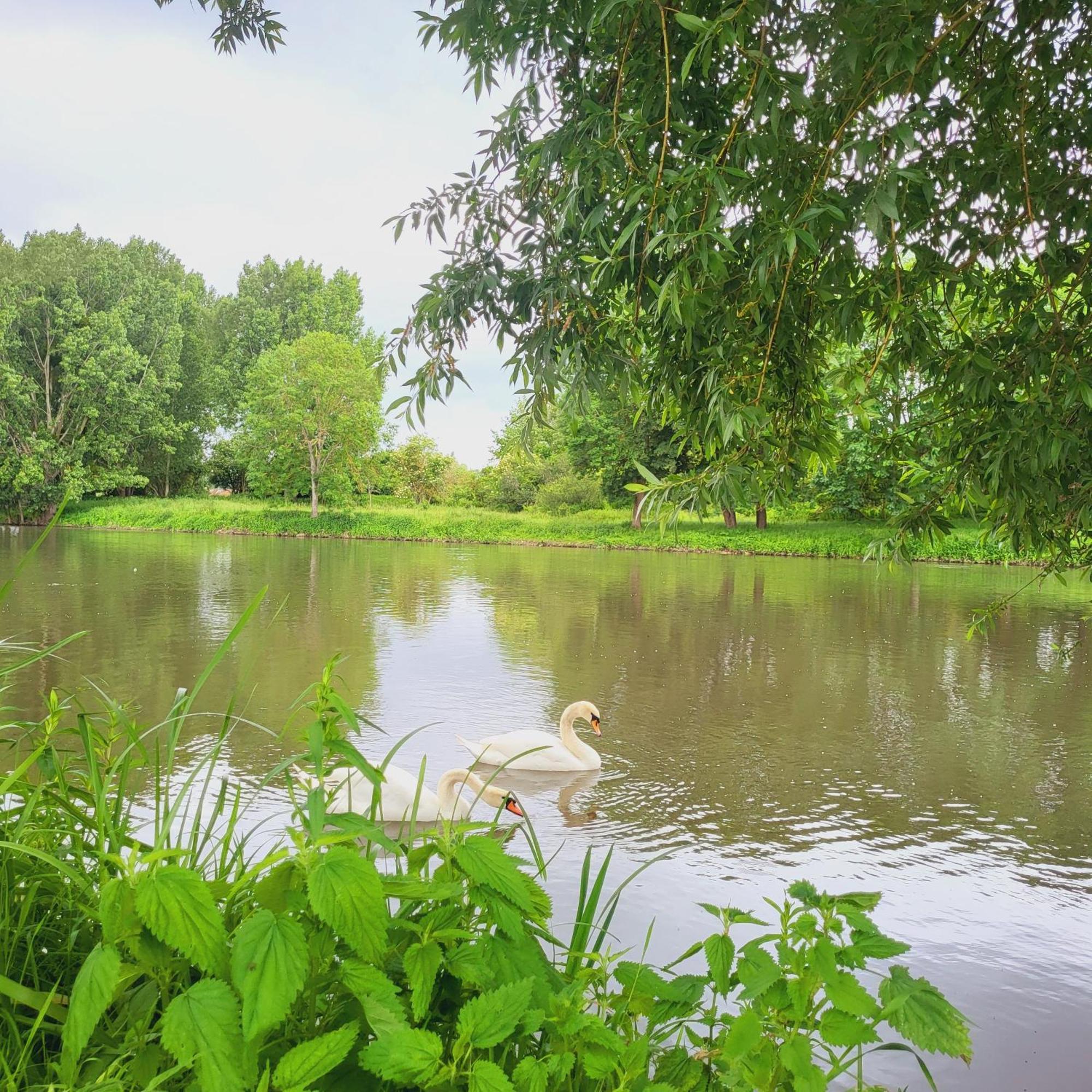 Apartament Duplex Cosy La Petite Arche Centre Pont De L'Arche Zewnętrze zdjęcie